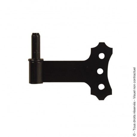 Gond à plaquer déco 3TR axe amovible D14 noir