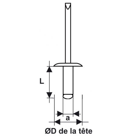 RIVET ALU/INOX