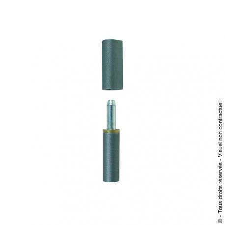Paumelle MAROC à souder acier bague laiton axe acier