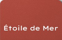 Du Sud - Etoile de mer