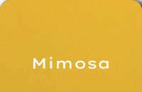 Du Sud - Mimosa